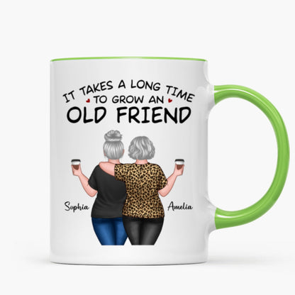 Back View Besties Walking It Takes A Long Time To Grow An Old Friend Personalized Mug, Gift For Best Friends, BFF
