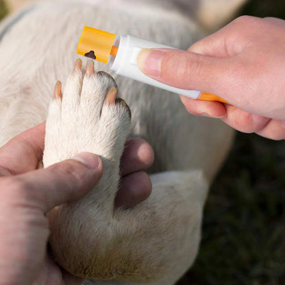 Pet Pedicure Kit