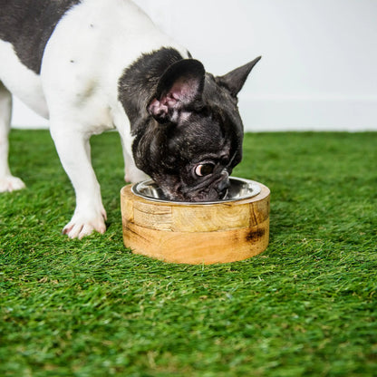 Mango Wood Dog Feeder