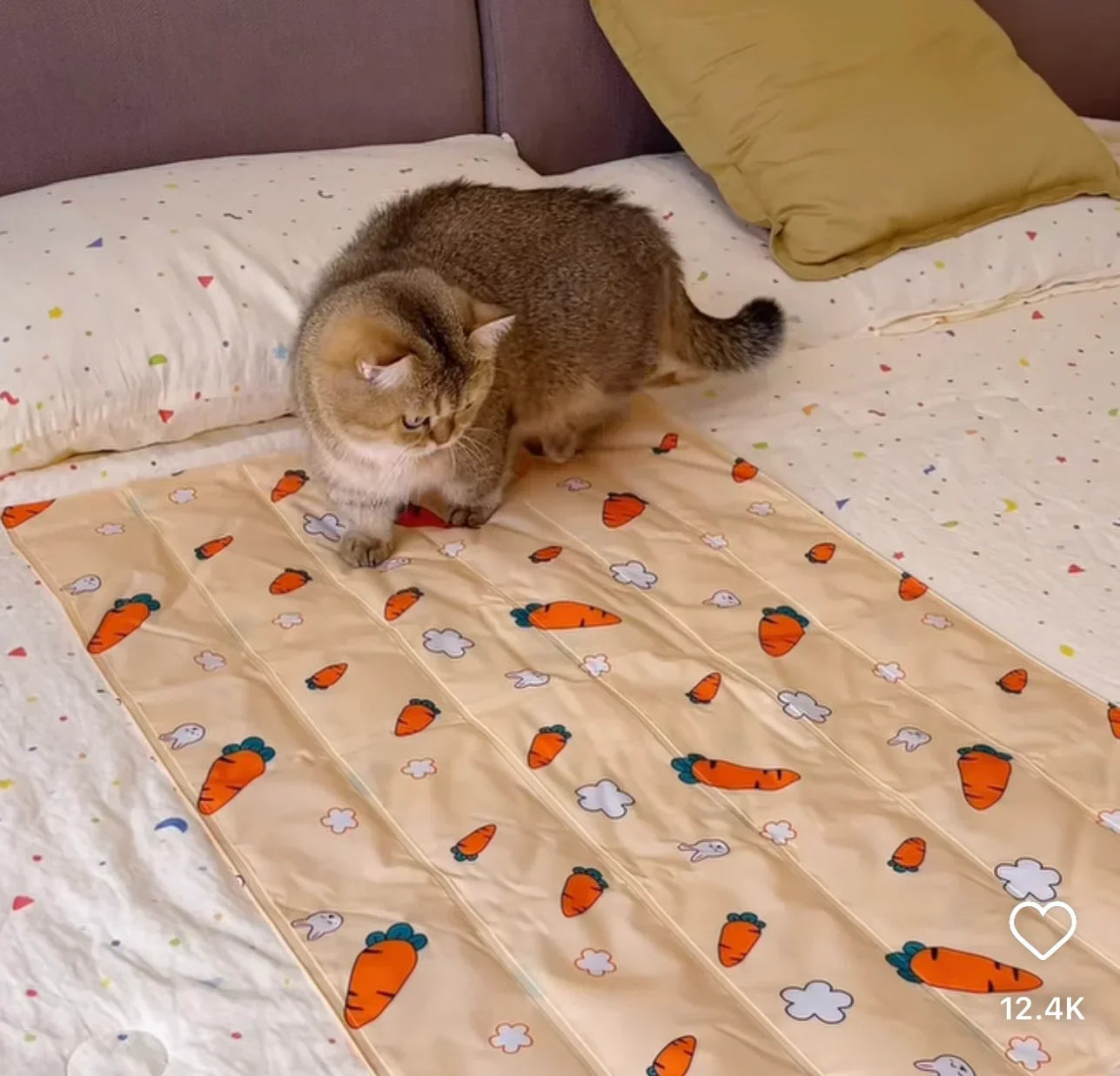 Pet Summer Ice Bed