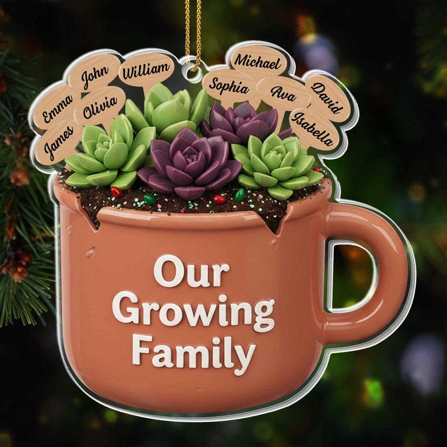 Our Growing Family Succulent Coffee Mug - Personalized Custom Acrylic Ornament, Christmas Gift - GARD024_ACO