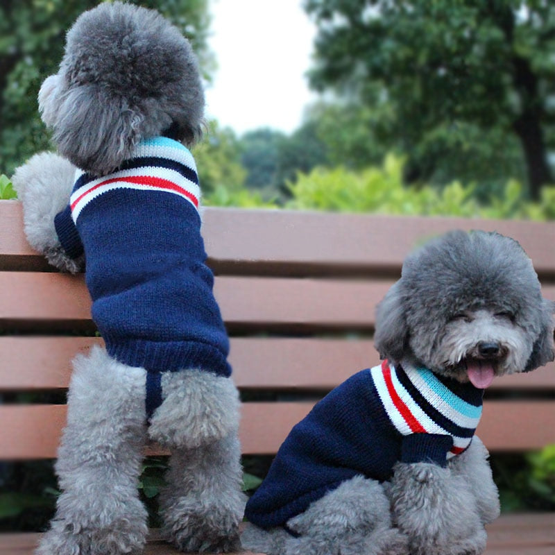 The Furr-Fect Holiday Sweater