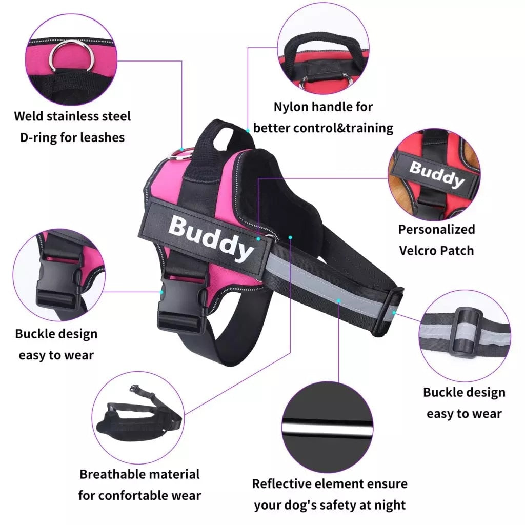 Custom Personalized No-Pull Dog Harness