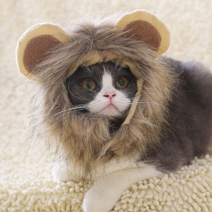 Lion Mane Cat Costume