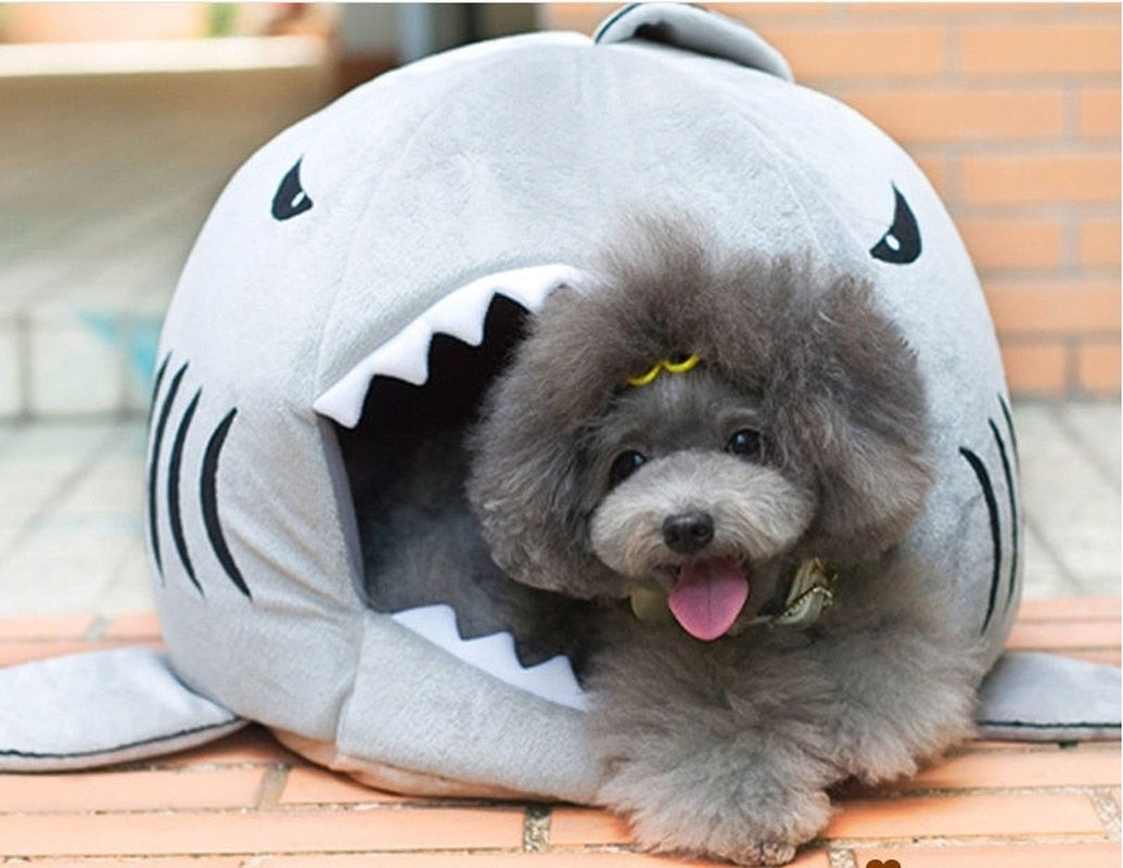 Shark Mouth Pet Bed