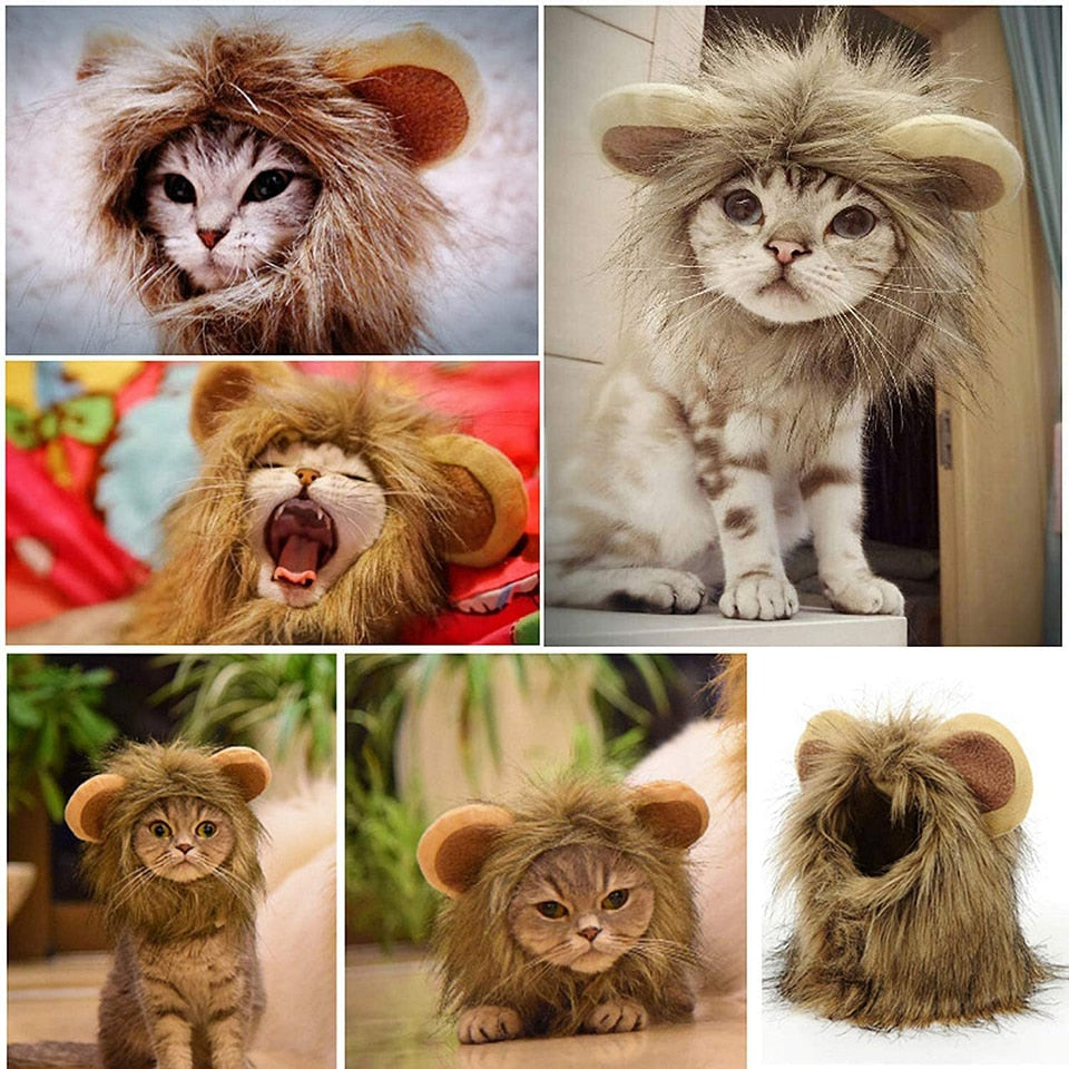 Lion Mane Cat Costume