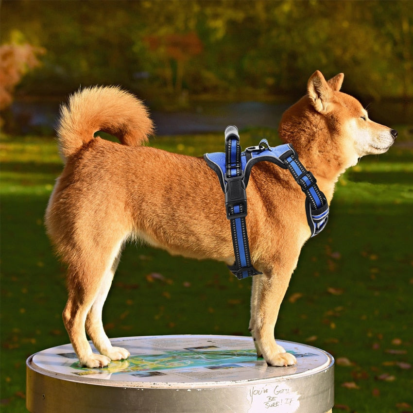 No-Pull Dog Harness With Handle