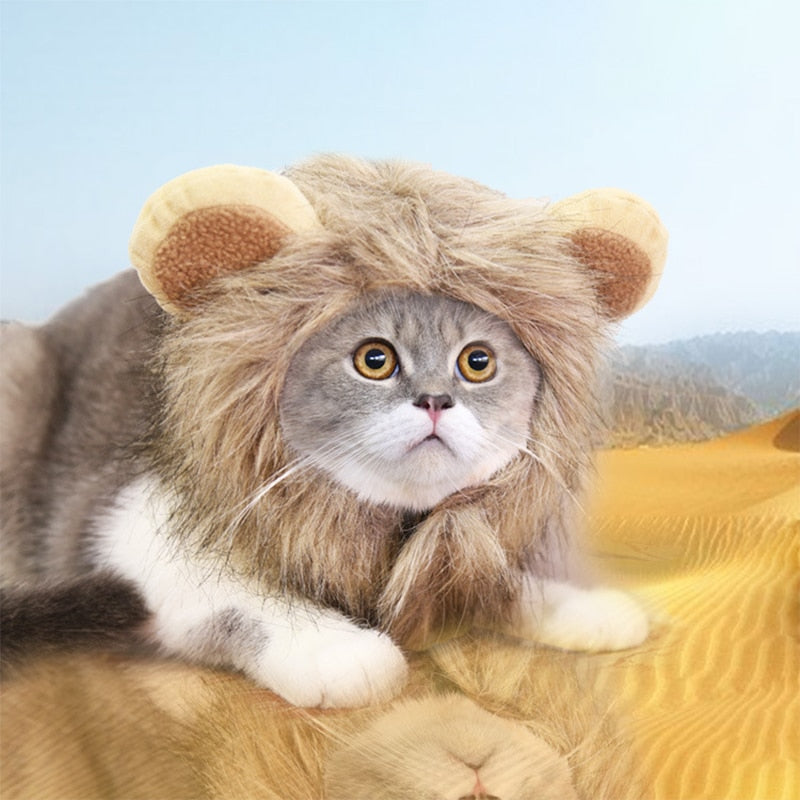 Lion Mane Cat Costume