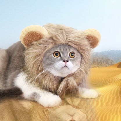 Lion Mane Cat Costume