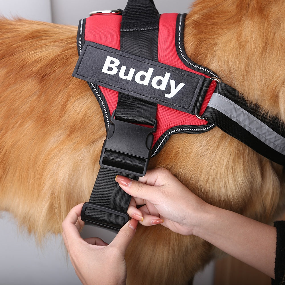 Custom Personalized No-Pull Dog Harness