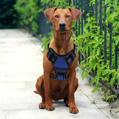 No-Pull Dog Harness With Handle