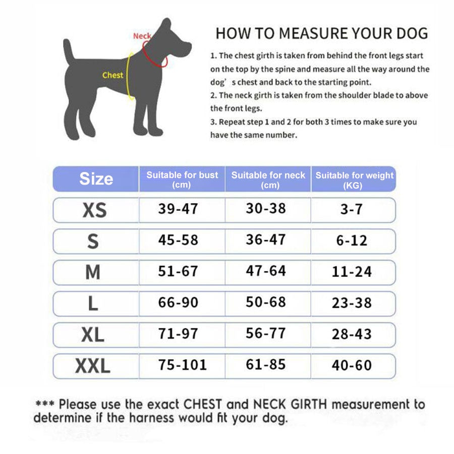 Custom Personalized No-Pull Dog Harness