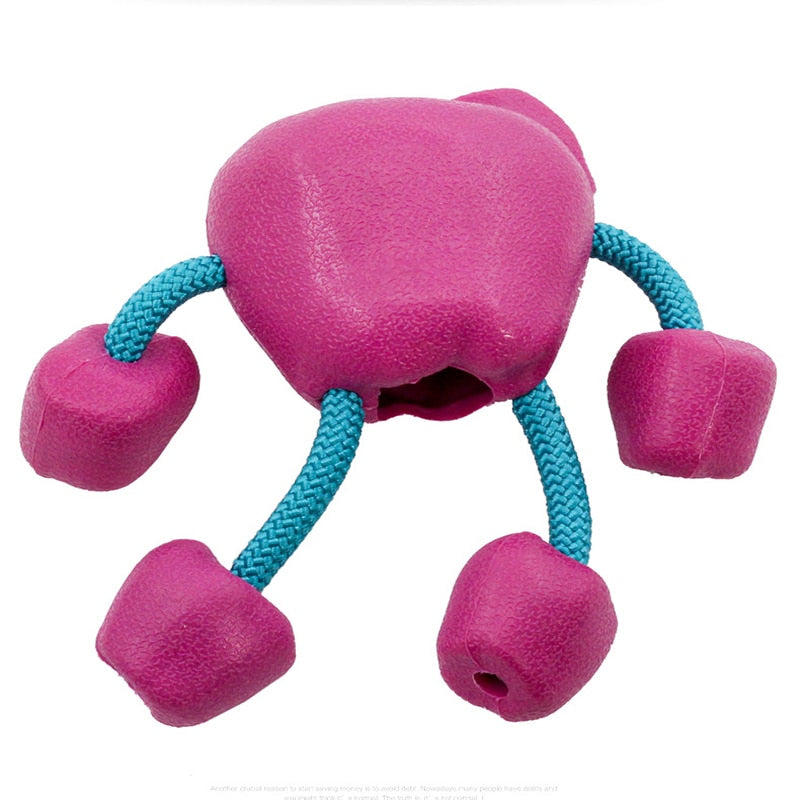 Smiley Dog Rubber Chew Toy