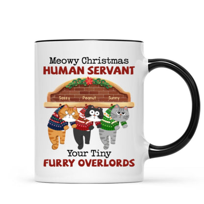 Meowy Christmas Human From Naughty Cats Personalized Mug, Christmas Gift