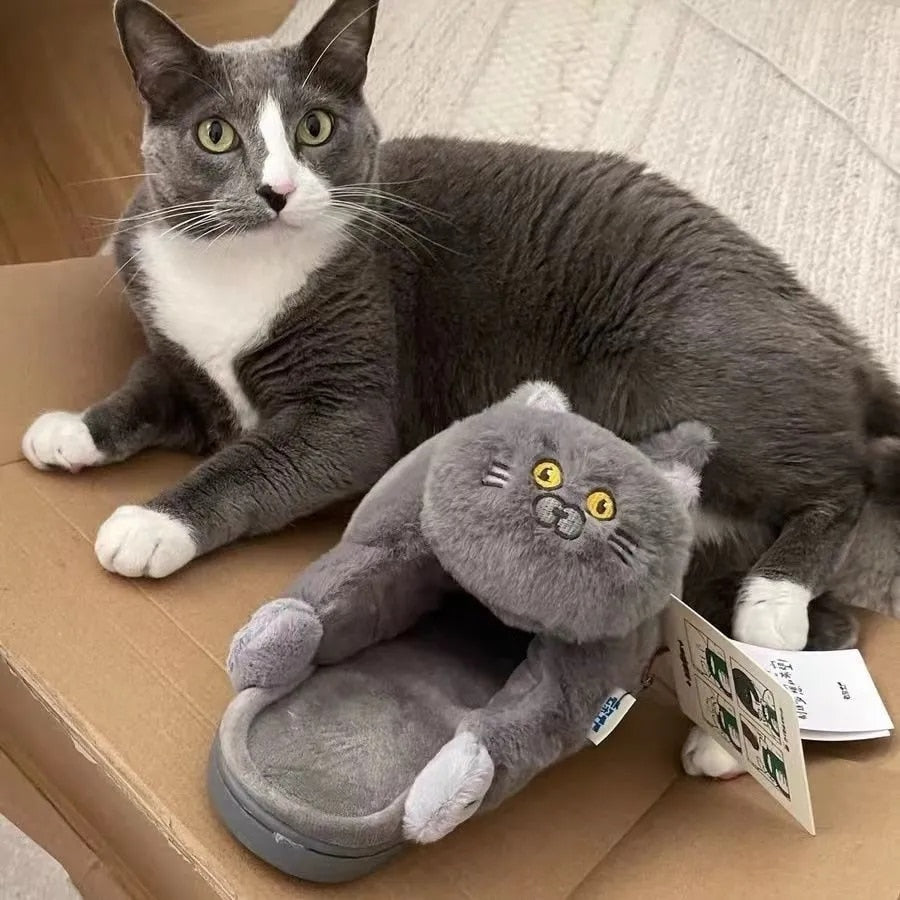 Cuddly Kitty Cat Slippers