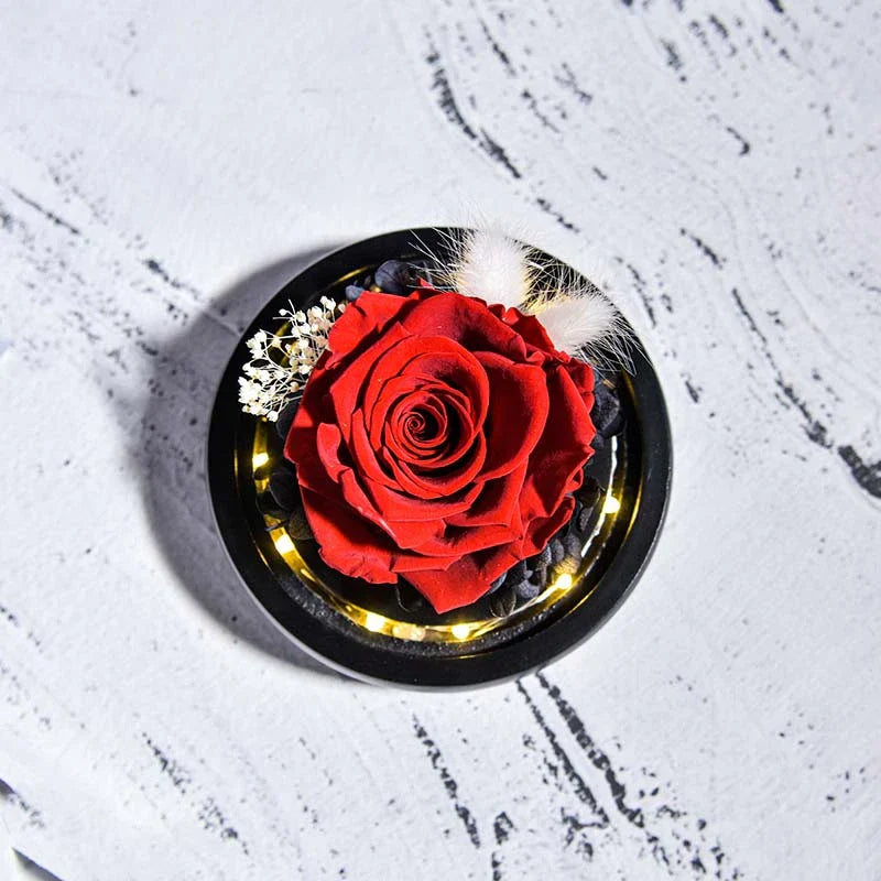 Forever Rose in Glass Dome with LED Light for Valentine and Special Occasions