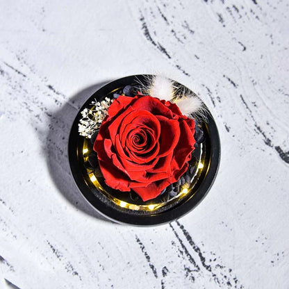 Forever Rose in Glass Dome with LED Light for Valentine and Special Occasions
