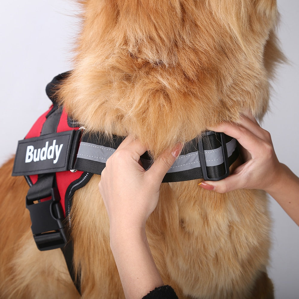 Custom Personalized No-Pull Dog Harness