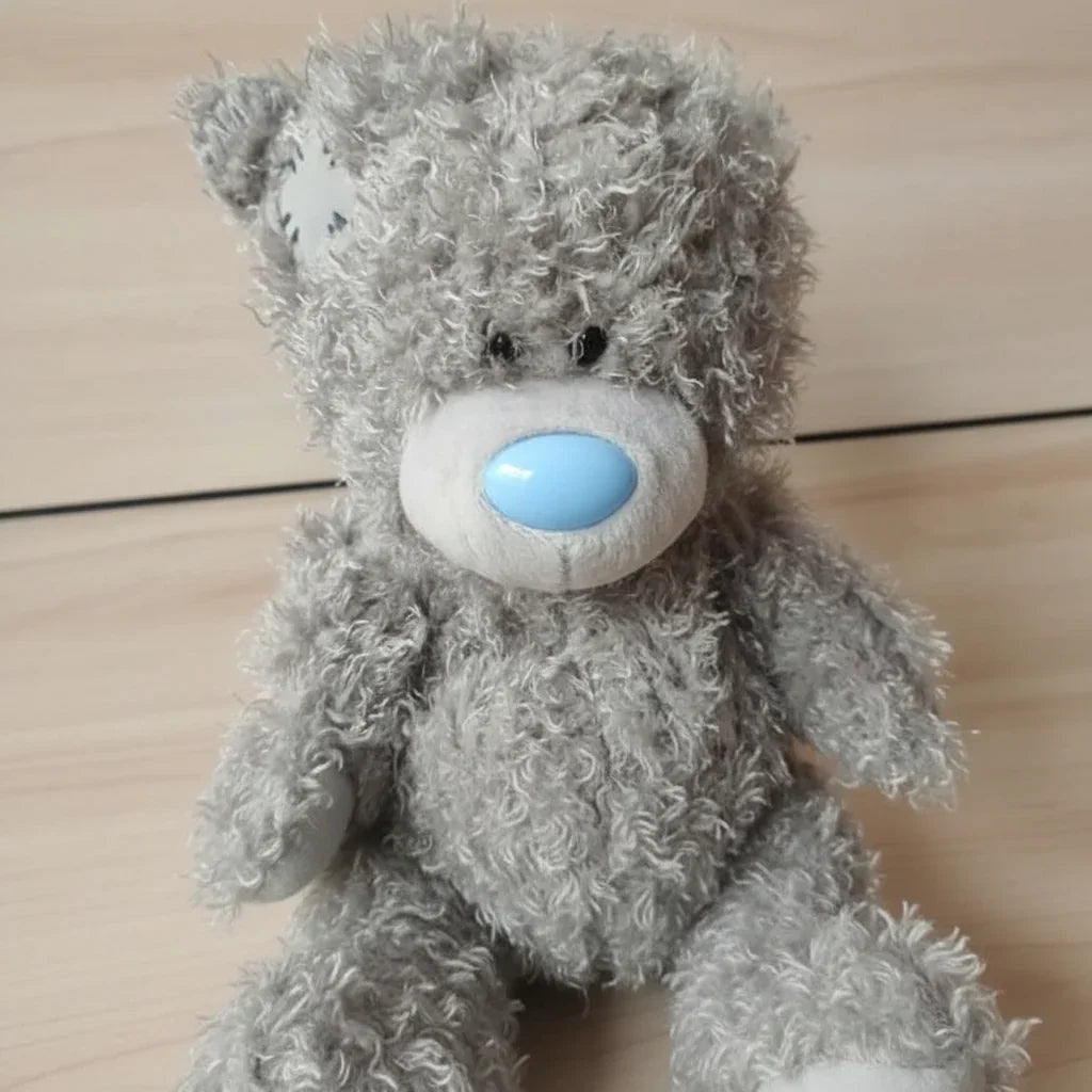 Me To You Special Friend Bear Plush Toy with Love
