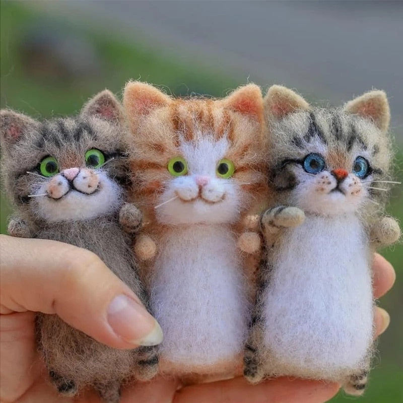 Make-Your-Own Kitty Kit