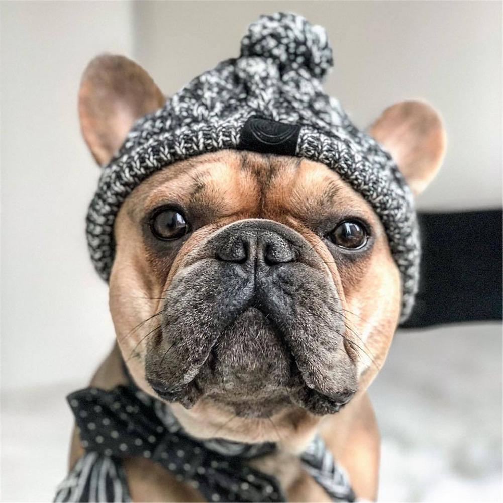 Dog Beanie