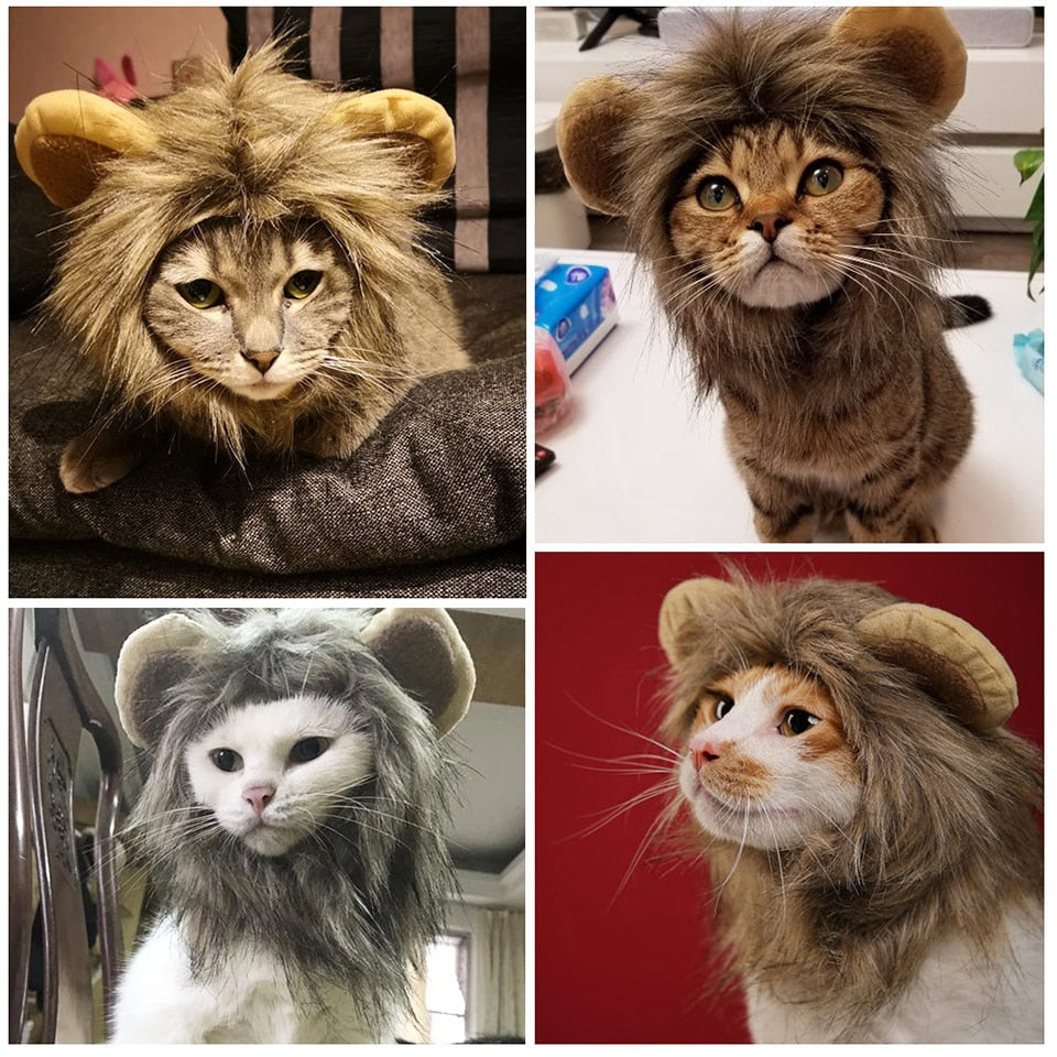 Lion Mane Cat Costume