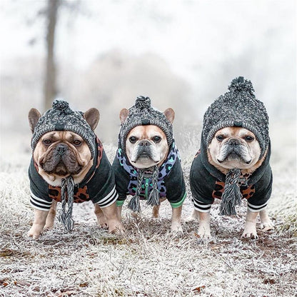 Dog Beanie