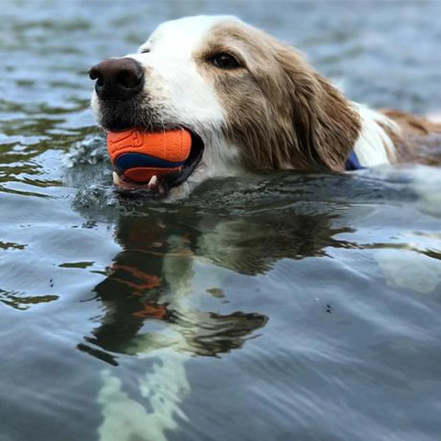 Durable Chew-Resistant Rubber Dog Ball
