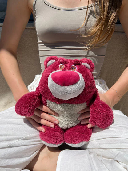 Hugbuddy Heat Bag