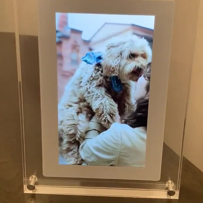 Digital Pet Memory Motion Frame
