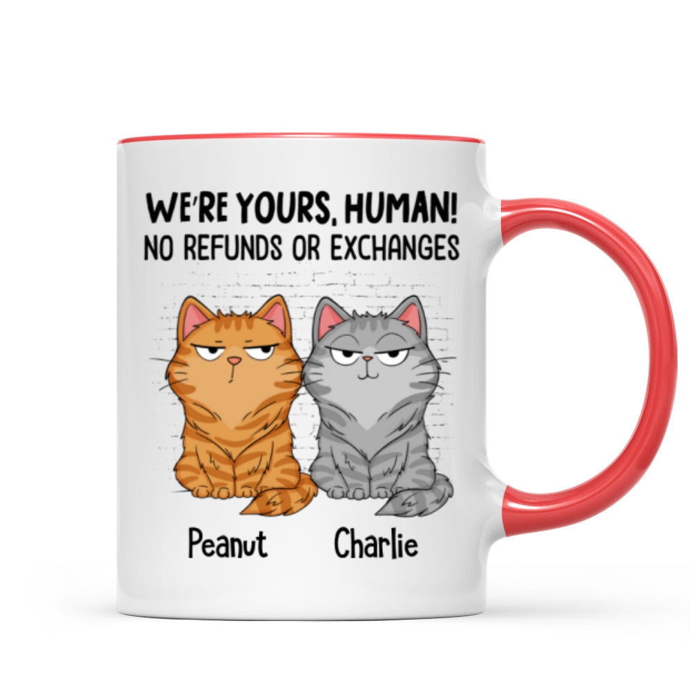 Sorry Human We're Yours Funny Cat Expression Personalized Mug