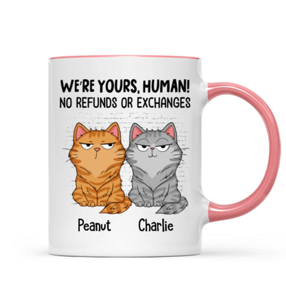 Sorry Human We're Yours Funny Cat Expression Personalized Mug