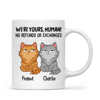 Sorry Human We're Yours Funny Cat Expression Personalized Mug