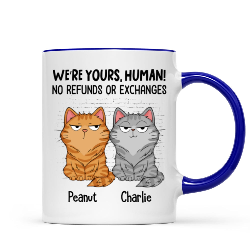 Sorry Human We're Yours Funny Cat Expression Personalized Mug