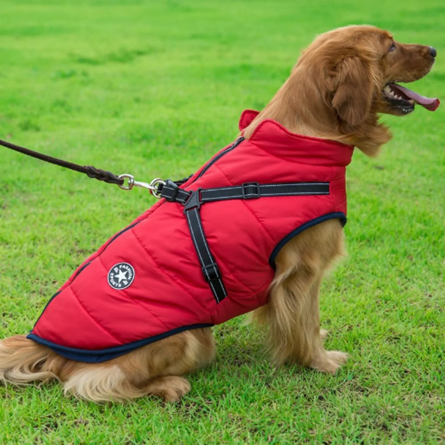 Dog Winter Waterproof Jacket