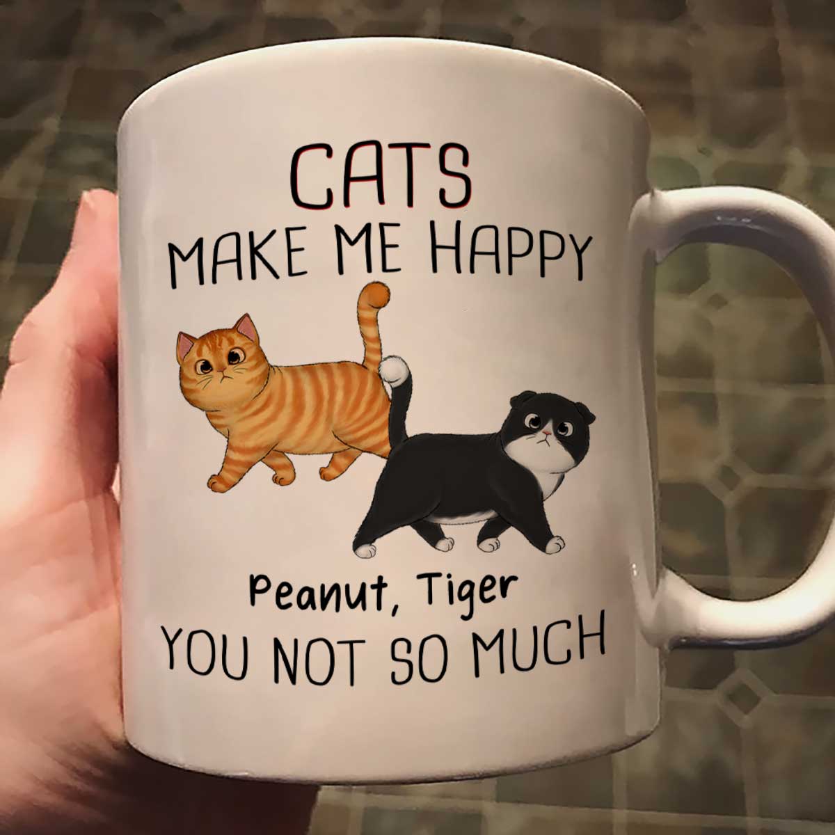 Walking Fluffy Cats Gift For Cat Lovers Personalized Mug