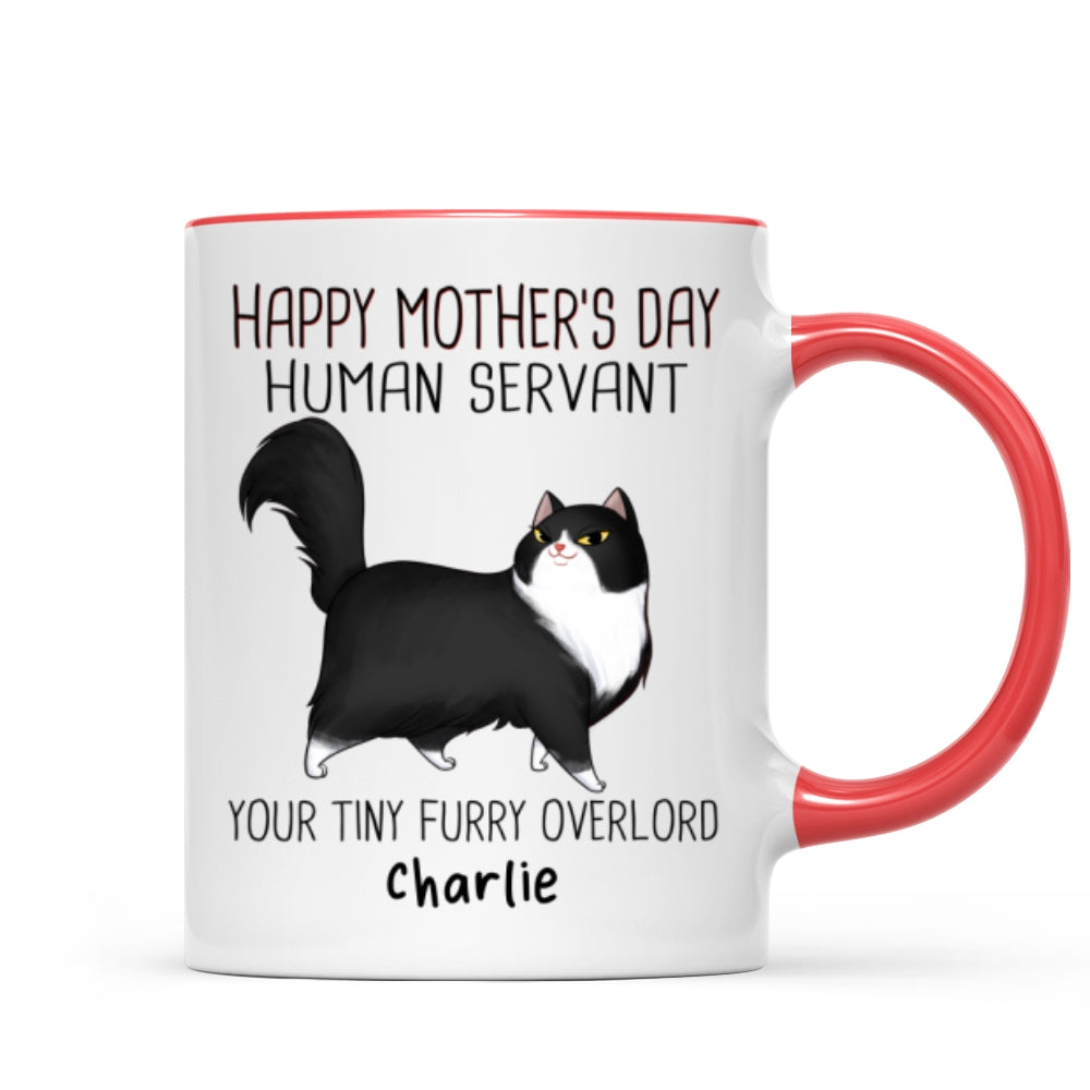 Happy Mother's Day Human Servant Cartoon Walking Cat Personalized Mug