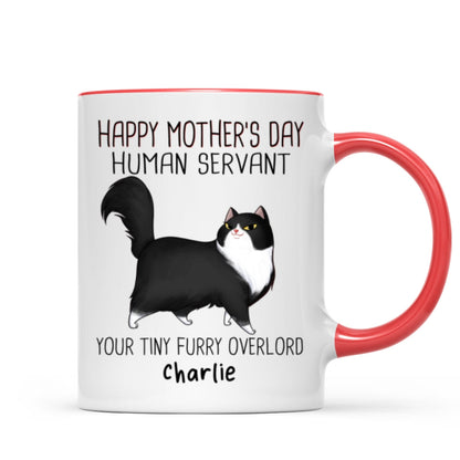 Happy Mother's Day Human Servant Cartoon Walking Cat Personalized Mug