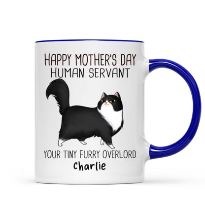 Happy Mother's Day Human Servant Cartoon Walking Cat Personalized Mug