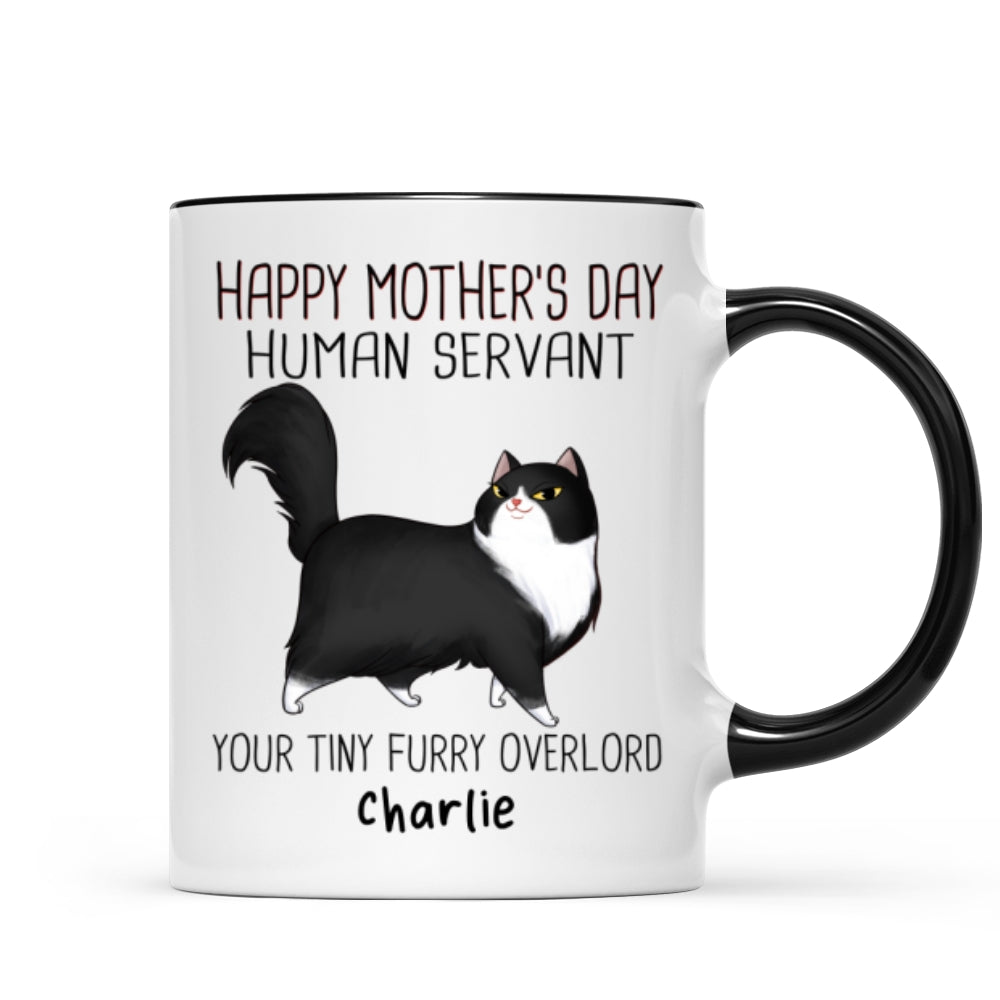 Happy Mother's Day Human Servant Cartoon Walking Cat Personalized Mug