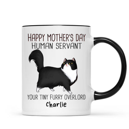 Happy Mother's Day Human Servant Cartoon Walking Cat Personalized Mug