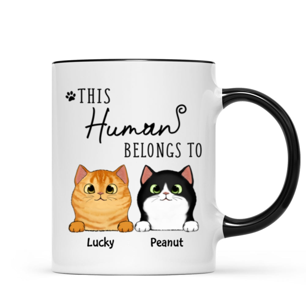 This Human Belongs To Fluffy Cats Personalized Mug