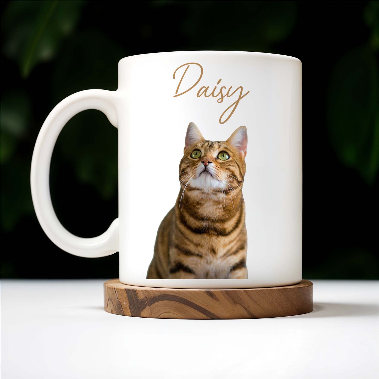 Celebrate Your Furry Friend With a Personalized Mug - Personalized Custom Coffee Mug - PET089_MG