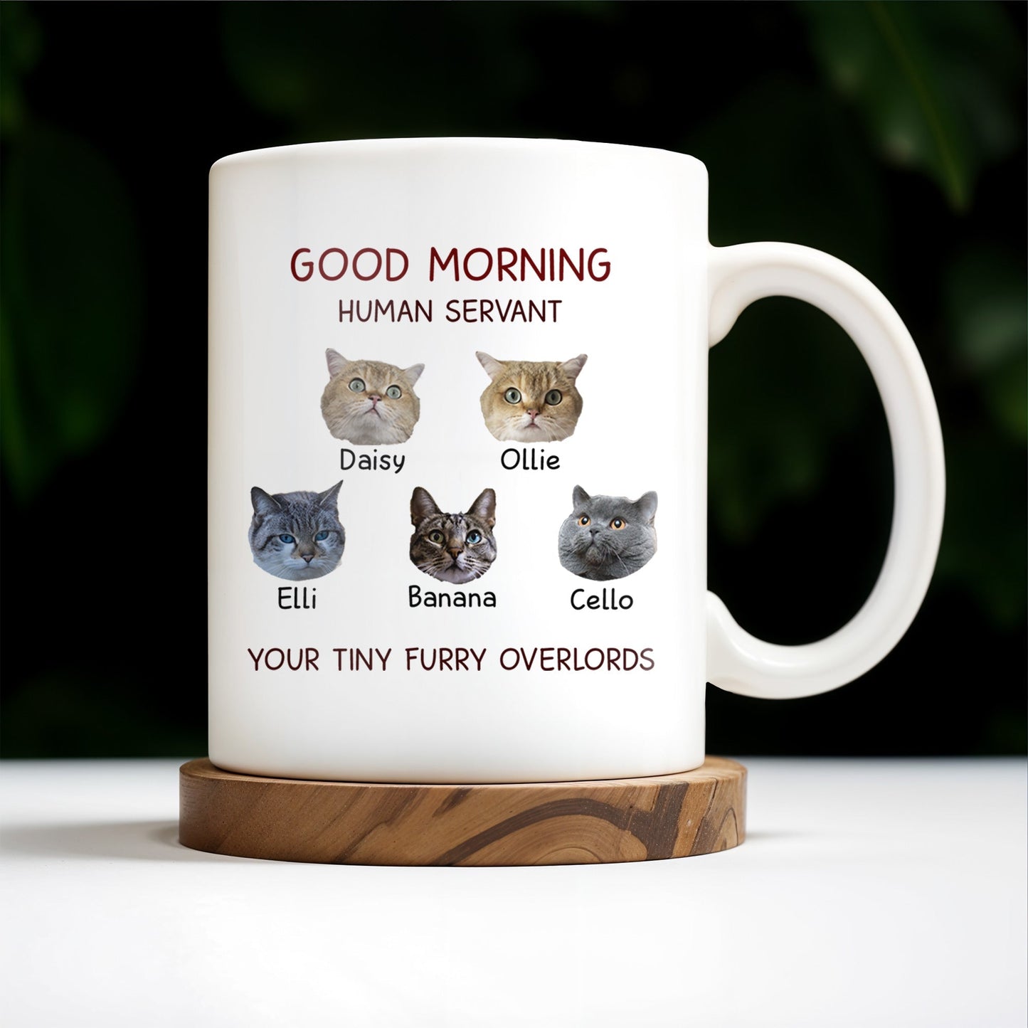 Good Morning Human Servant Your Tiny Furry Overlords Mug - Personalized Custom Coffee Mug - PET094_MG