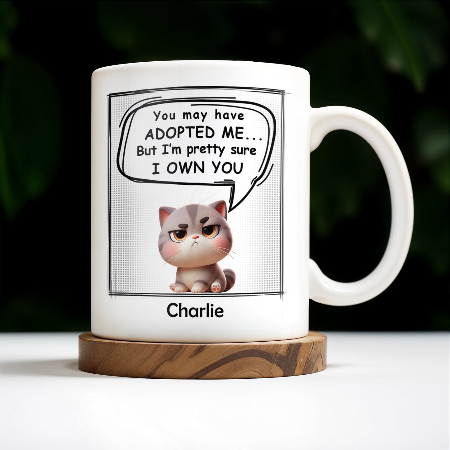 You May Have Adopted Me But I Own You Cat Mug - Personalized Custom Coffee Mug - PET098_MG