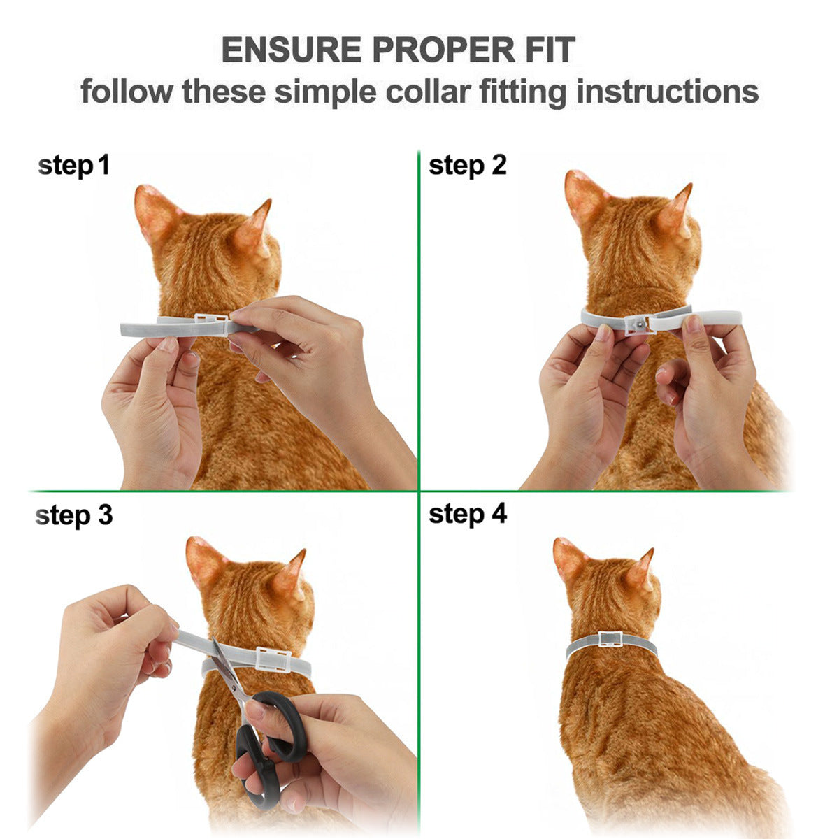 Flea & Tick Collar 8-Month Protection for All Pets