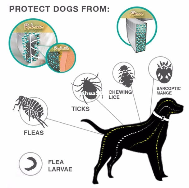 Flea & Tick Collar 8-Month Protection for All Pets