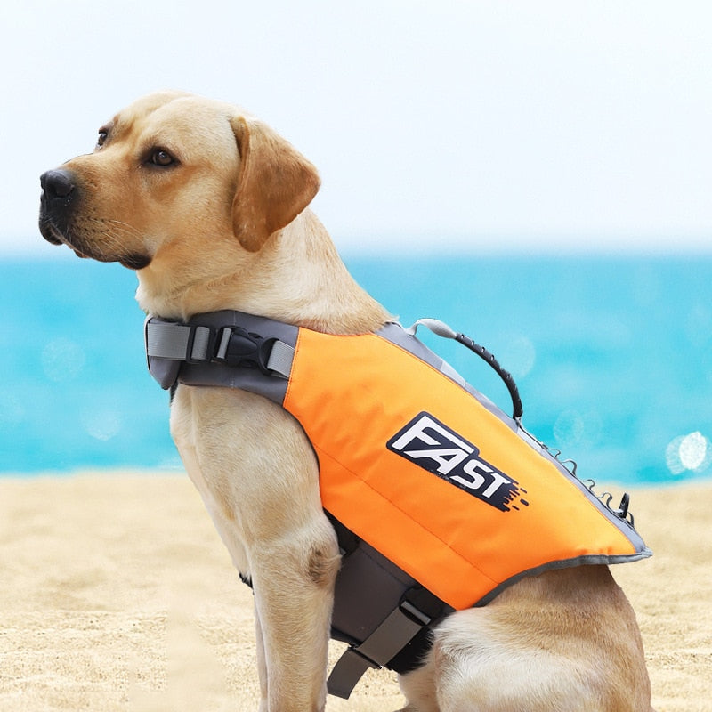 Doggy Life Preserver