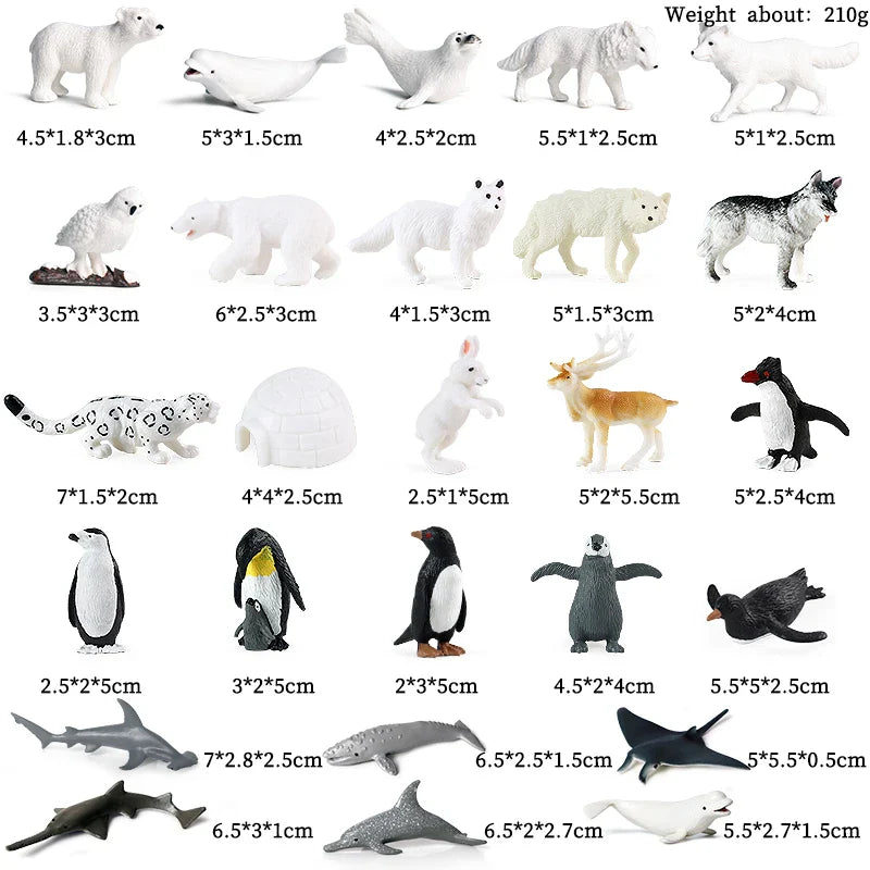 Montessori Miniature Lion Shark Horse Dinosaur Animals Model Set Action Figures