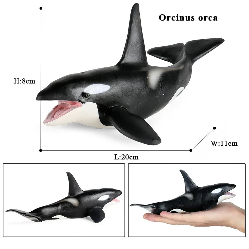 Ocean Animal Action Figures Sea Life Model